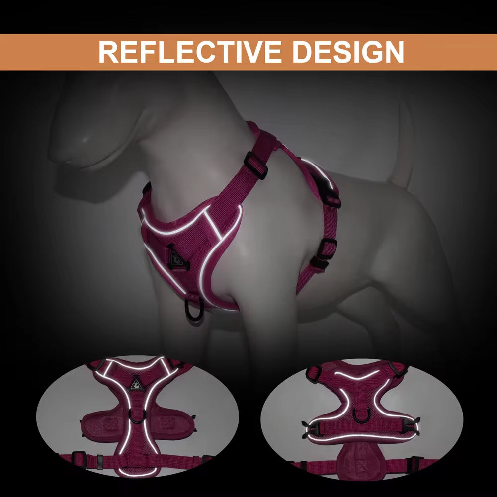 Reflective Mesh Nylon Dog and Cat Harness with Leash Set for Small to Medium Breeds, including Bulldogs and Pugs