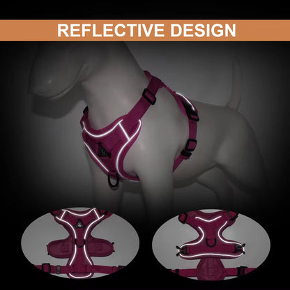 Reflective Mesh Nylon Dog and Cat Harness with Leash Set for Small to Medium Breeds, including Bulldogs and Pugs