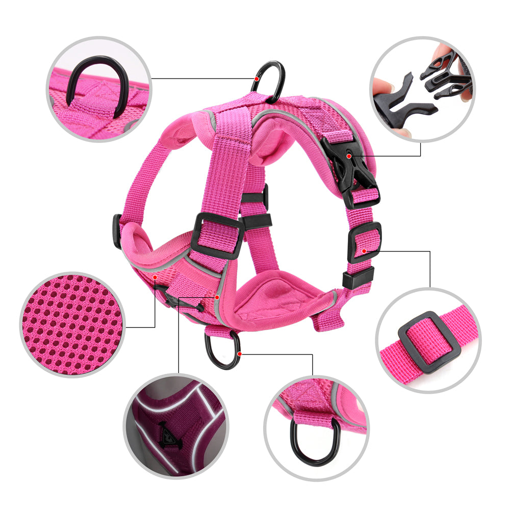 Reflective Mesh Nylon Dog and Cat Harness with Leash Set for Small to Medium Breeds, including Bulldogs and Pugs