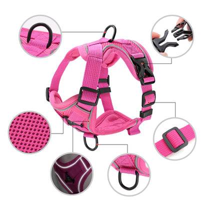 Reflective Mesh Nylon Dog and Cat Harness with Leash Set for Small to Medium Breeds, including Bulldogs and Pugs
