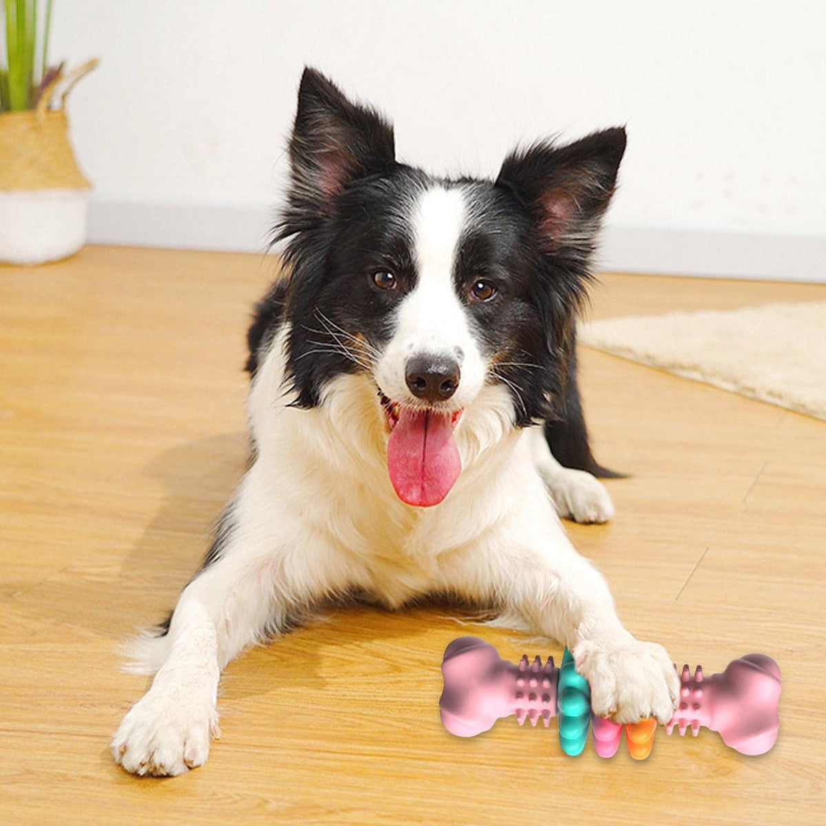 Indestructible TPR Dog Bone Chew Toy for Teeth Cleaning and Teething - Durable and Bite Resistant Pet Product
