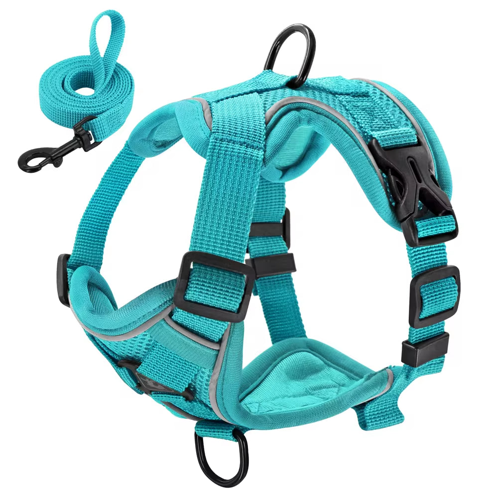 Reflective Mesh Nylon Dog and Cat Harness with Leash Set for Small to Medium Breeds, including Bulldogs and Pugs