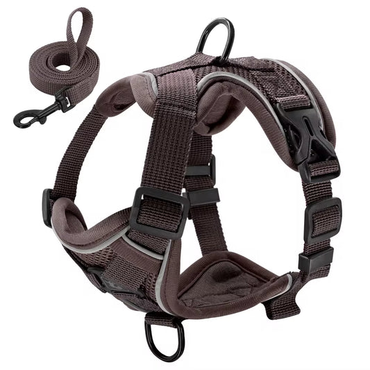 Reflective Mesh Nylon Dog and Cat Harness with Leash Set for Small to Medium Breeds, including Bulldogs and Pugs