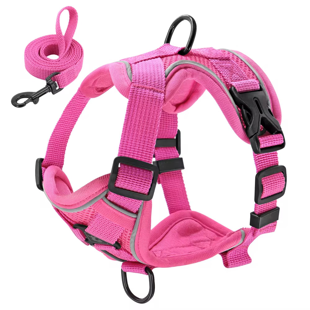 Reflective Mesh Nylon Dog and Cat Harness with Leash Set for Small to Medium Breeds, including Bulldogs and Pugs