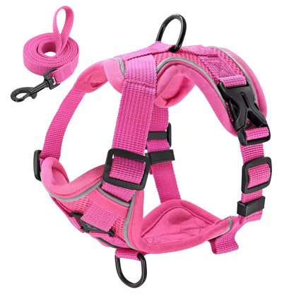 Reflective Mesh Nylon Dog and Cat Harness with Leash Set for Small to Medium Breeds, including Bulldogs and Pugs