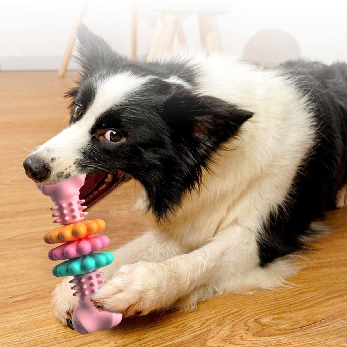 Indestructible TPR Dog Bone Chew Toy for Teeth Cleaning and Teething - Durable and Bite Resistant Pet Product
