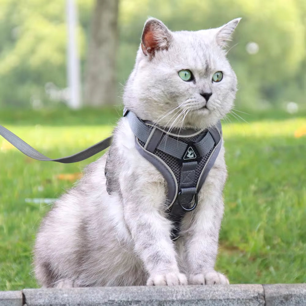 Reflective Mesh Nylon Dog and Cat Harness with Leash Set for Small to Medium Breeds, including Bulldogs and Pugs