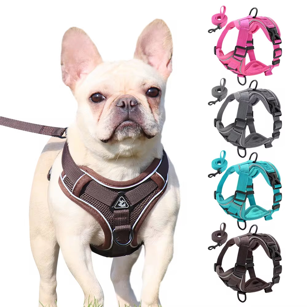 Reflective Mesh Nylon Dog and Cat Harness with Leash Set for Small to Medium Breeds, including Bulldogs and Pugs