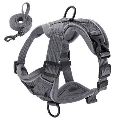 Reflective Mesh Nylon Dog and Cat Harness with Leash Set for Small to Medium Breeds, including Bulldogs and Pugs